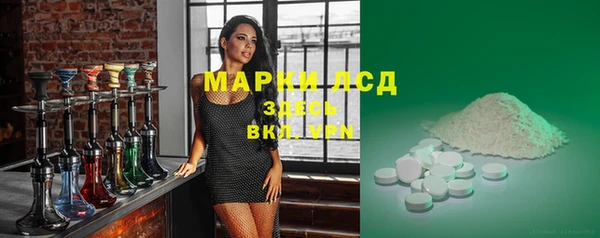 гашик Краснослободск