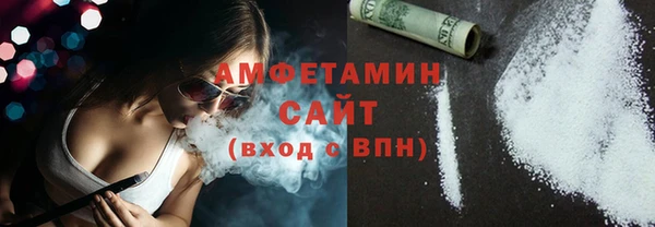 гашик Краснослободск