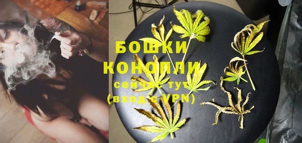 гашик Краснослободск