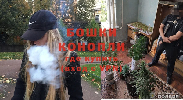 гашик Краснослободск