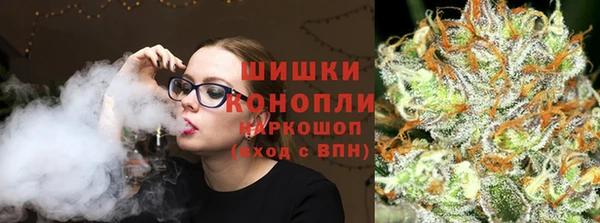 гашик Краснослободск