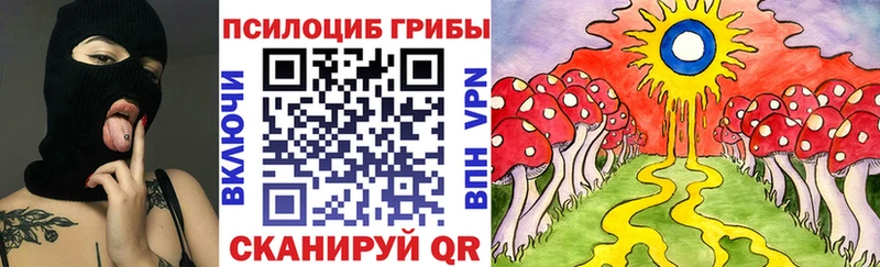Купить  Балтийск  Галлюциногенные грибы Psilocybe 